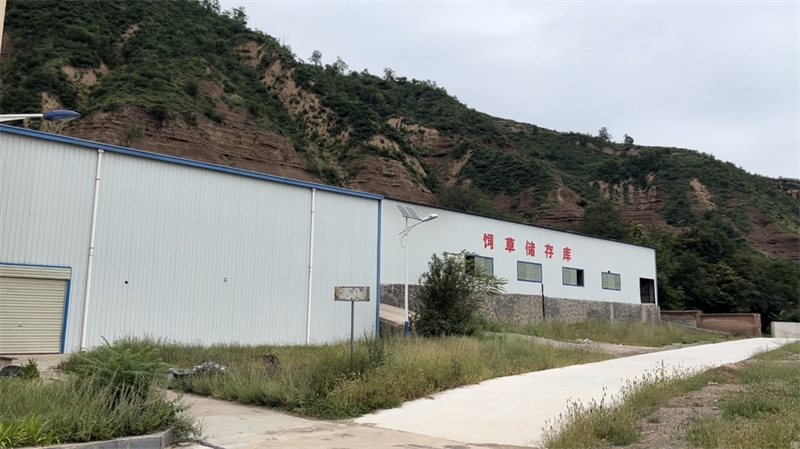 1729247342835272.jpg 图片 2.jpg