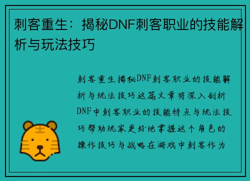 刺客重生：揭秘DNF刺客职业的技能解析与玩法技巧